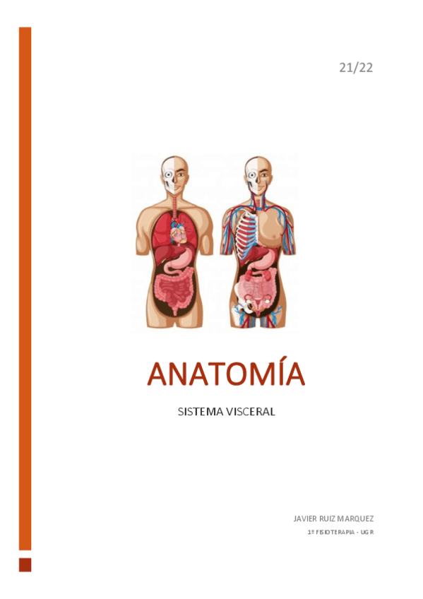 Miniatura del documento ANATOMIA-VISCERAL.pdf