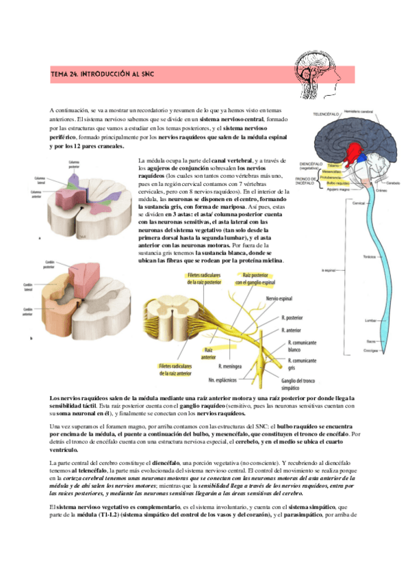 Miniatura del documento SNC.pdf