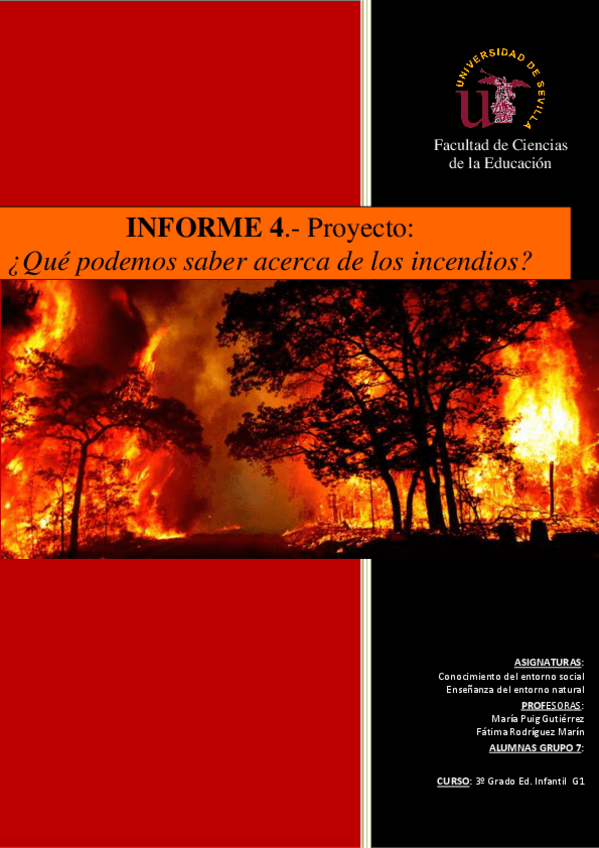Miniatura del documento Informe-4.-Guion-orientativo-diseno-proyecto-2.pdf