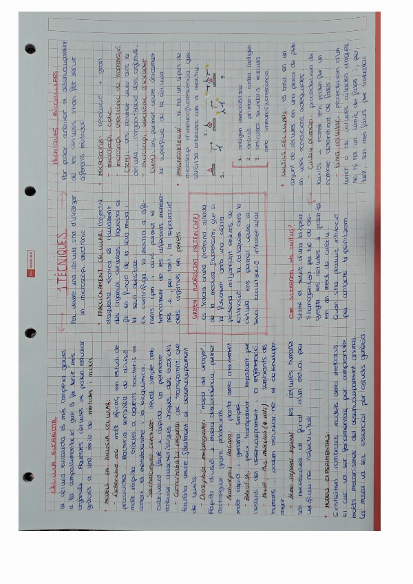 Miniatura del documento RESUMS-TEMES-1-2-I-3.pdf