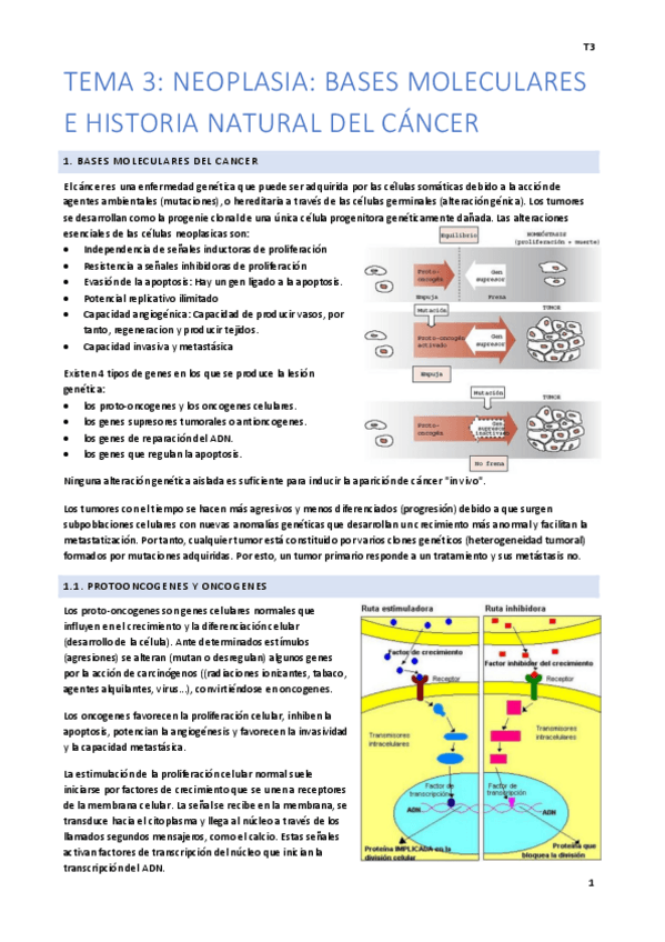 Miniatura del documento Tema-3-Facil.pdf