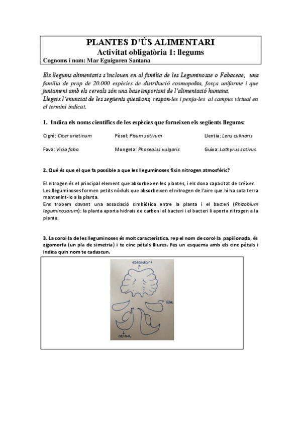 Miniatura del documento Activitats-plantes-TOTES.pdf