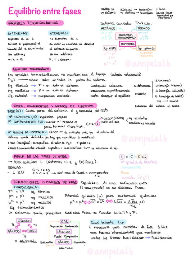 Miniatura del documento T2-Equilibrio-entre-Fases.pdf