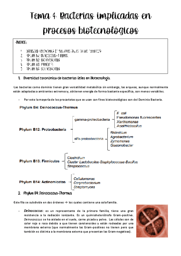 Miniatura del documento tema-4-biotec-microbiana.pdf