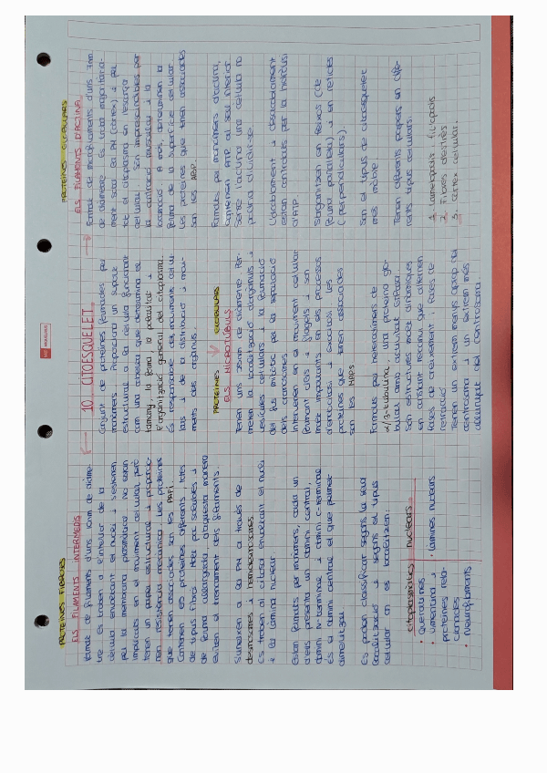 Miniatura del documento RESUMS-TEMA-10-CITOESQUELET.pdf