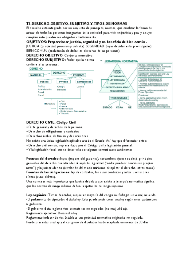Miniatura del documento APUNTES-PARCIAL-T1-T7.pdf