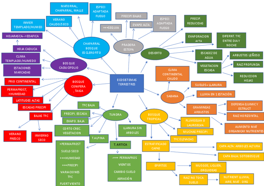 Miniatura del documento MAPA-CONCEPTUAL-ECOSISTEMA-TERRESTRE.pdf