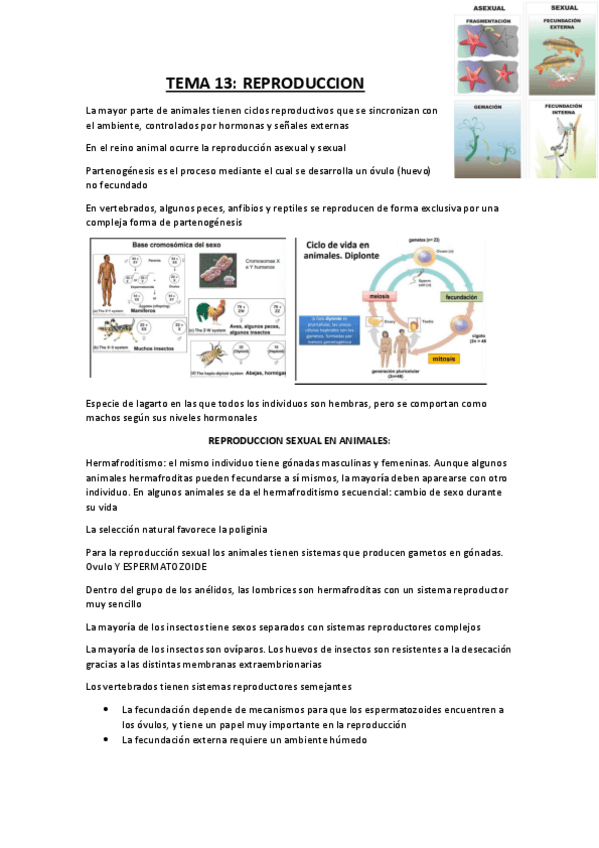 Miniatura del documento TEMA-13.pdf