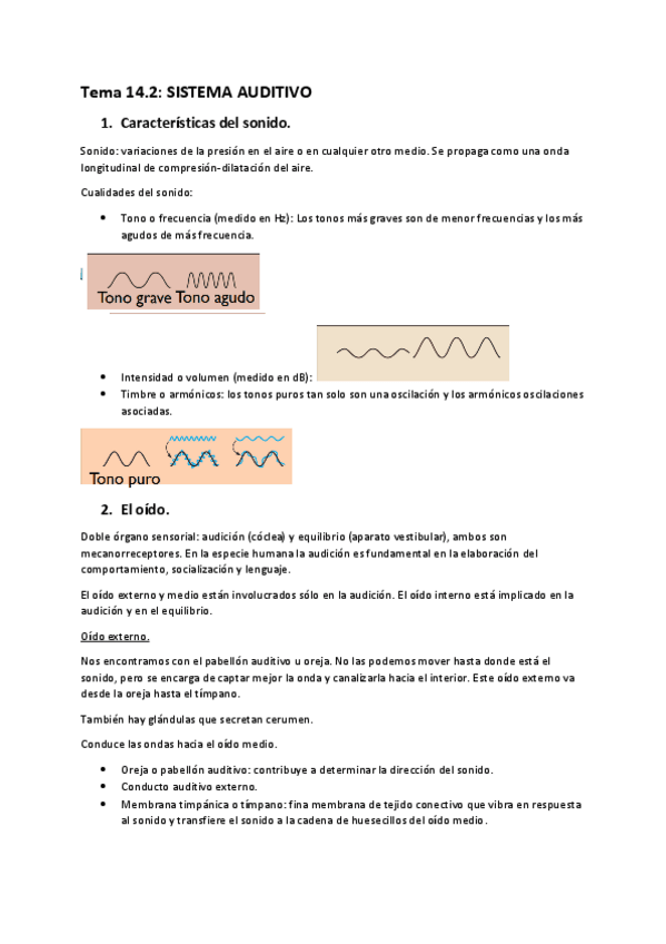 Miniatura del documento Sentidos-especiales-oido-equilibrio-gusto-y-olfato.pdf