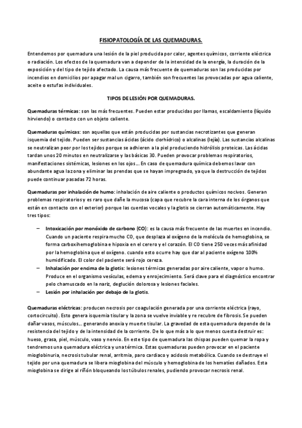 Miniatura del documento FISIOPATOLOGÍA DE LAS QUEMADURAS.pdf