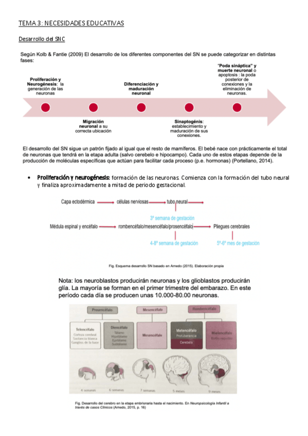 Miniatura del documento TEMA-3.pdf