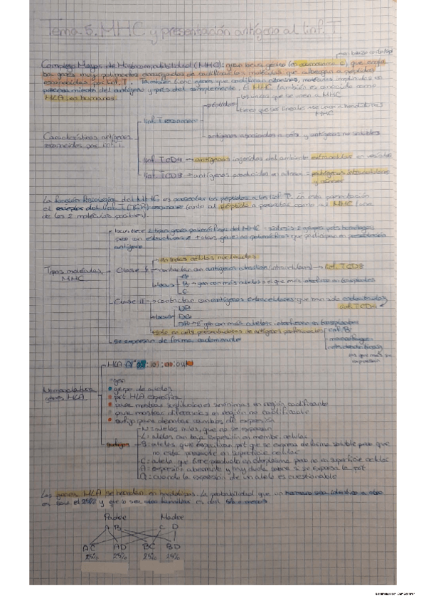 Miniatura del documento Tema 5 Inmuno.pdf