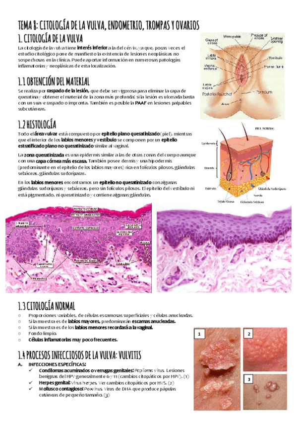 Miniatura del documento TEMA-8-resumen.pdf