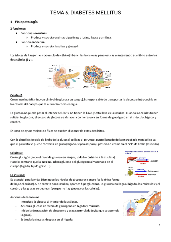Miniatura del documento B2-T6.-Diabetes-Mellitus.pdf