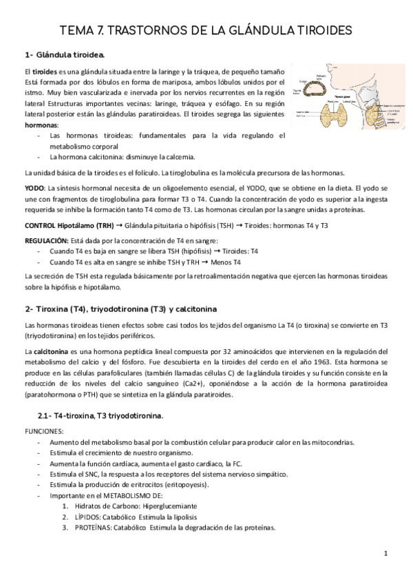 Miniatura del documento B2-T7-Trastornos-de-la-glandula-tiroides.pdf