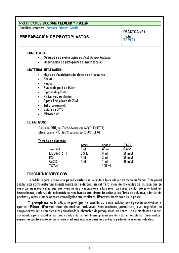 Miniatura del documento Practica-1.pdf