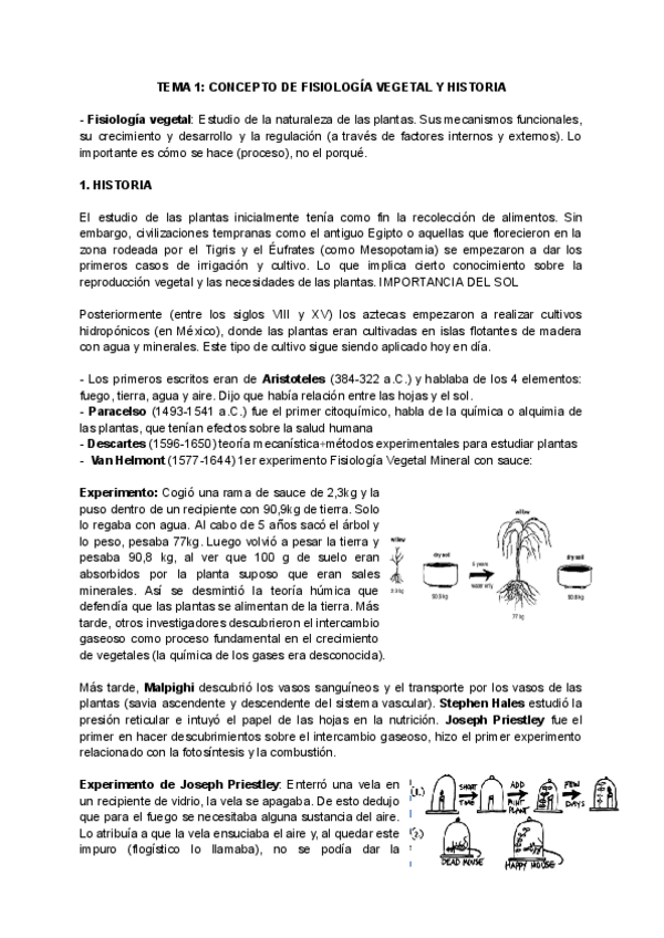 Miniatura del documento primer-parcial.pdf