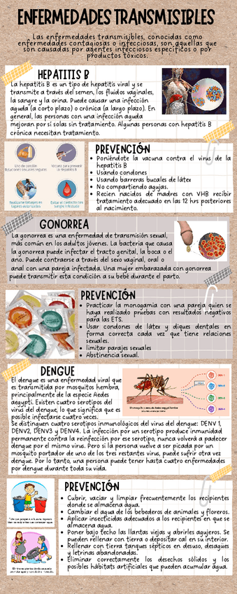 Miniatura del documento INFOGRAFIA-Enfermedades-transmisibles.pdf
