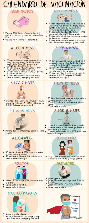 Miniatura del documento INFOGRAFIA-CALENDARIO-DE-VACUNACION.pdf
