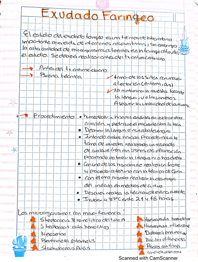 Miniatura del documento Exudado-faringeo.pdf