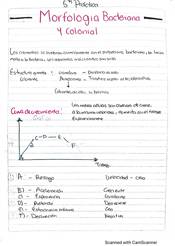 Miniatura del documento Morfologia-colonial.pdf
