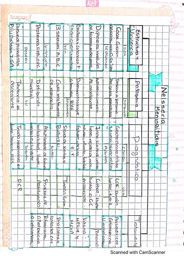 Miniatura del documento Neisseria-meningitis.pdf