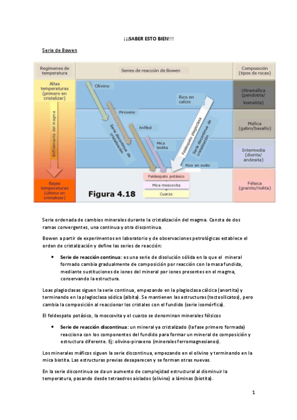 Miniatura del documento SABER-ESTO-BIEN-cae-mucho-en-examen.pdf