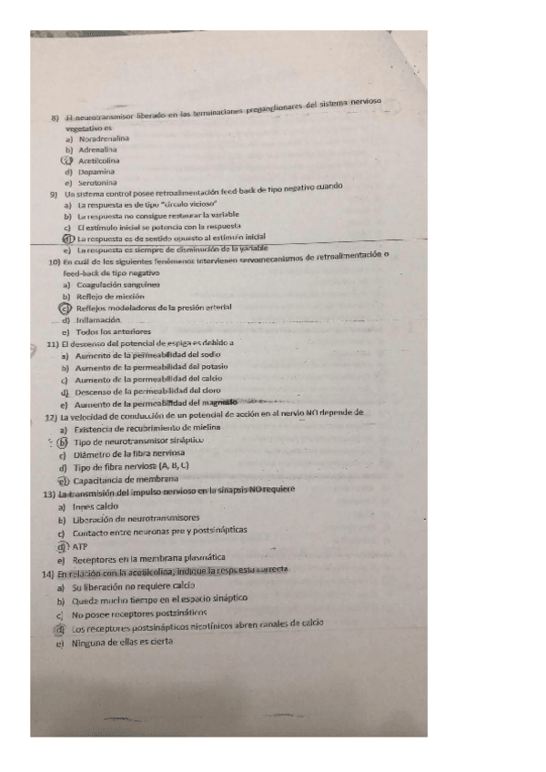 Miniatura del documento 5.pdf