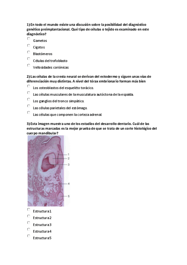 Miniatura del documento EXAMEN TEST Y CORTAS EMBRIOLOGÍA.pdf