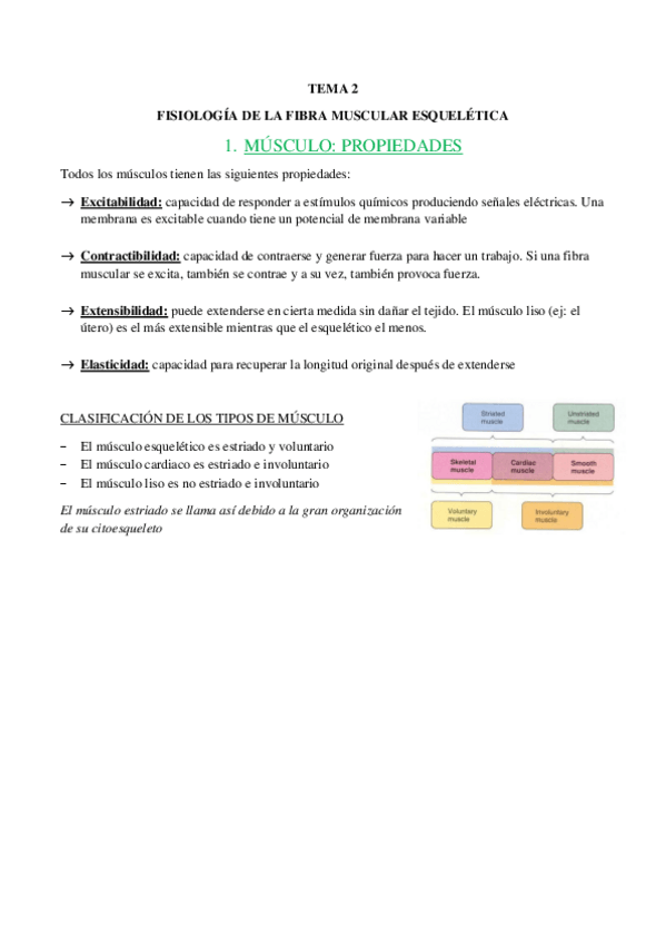 Miniatura del documento TEMA-2-FISIOLOGIA-DE-LA-FIBRA-MUSCULAR-ESQUELETICA.pdf