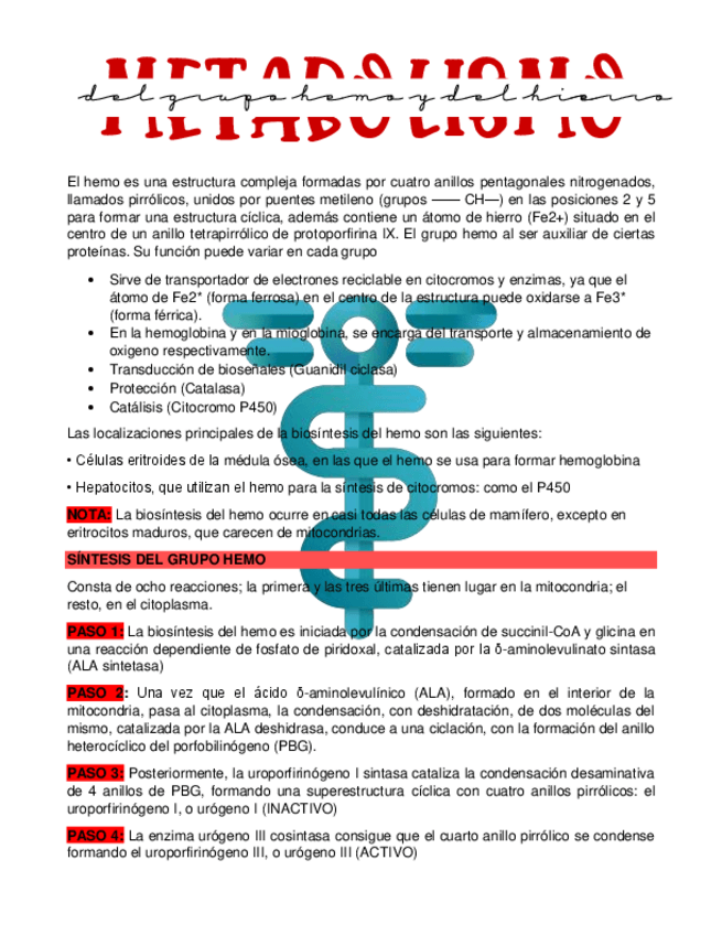 Miniatura del documento MET.-GRUPO-HEMO-Y-HIERRO.pdf