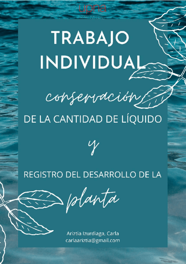 Miniatura del documento TRABAJO-INDIVIDUAL.-Carla-Ariztia.-1.pdf