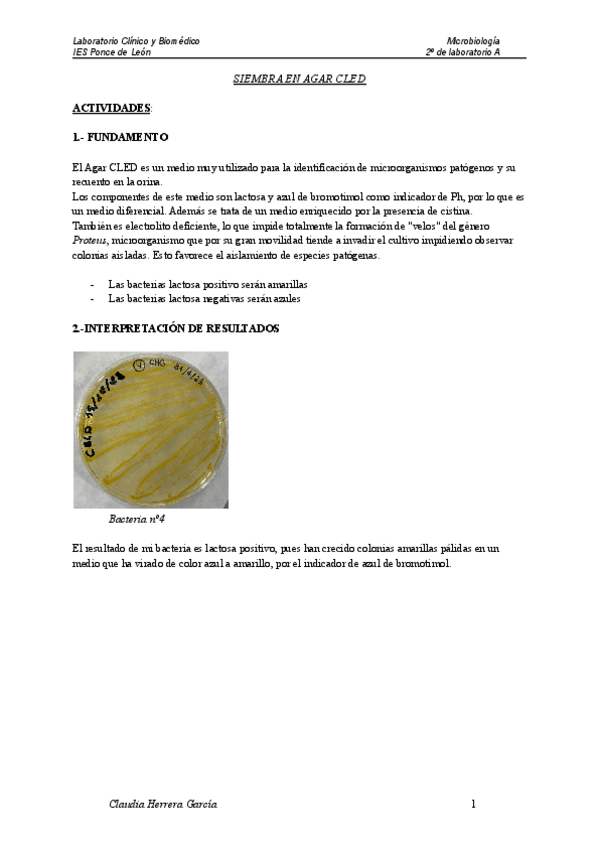 Miniatura del documento SIEMBRA-EN-AGAR-CLED.pdf