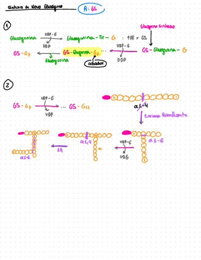 Miniatura del documento Formulas-y-esquemas-2-Parcial-Elena-Vara.pdf