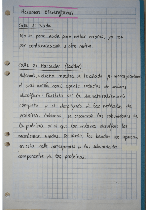 Miniatura del documento (1ª PARTE) Resumen Electroforesis y Conceptos Importantes Prácticas TIB.pdf