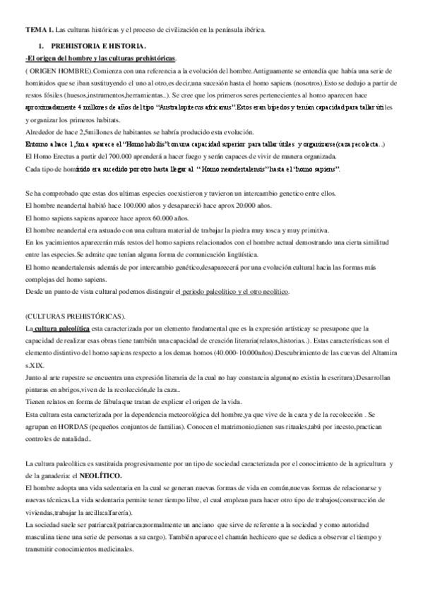 Miniatura del documento HISTORIA APUNTES.pdf