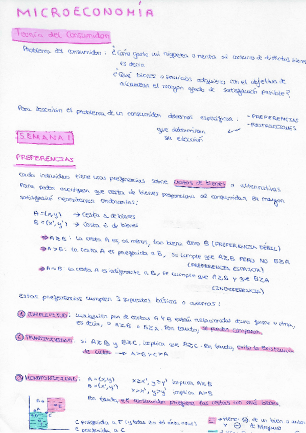 Miniatura del documento T.-1-y-2-micro.pdf