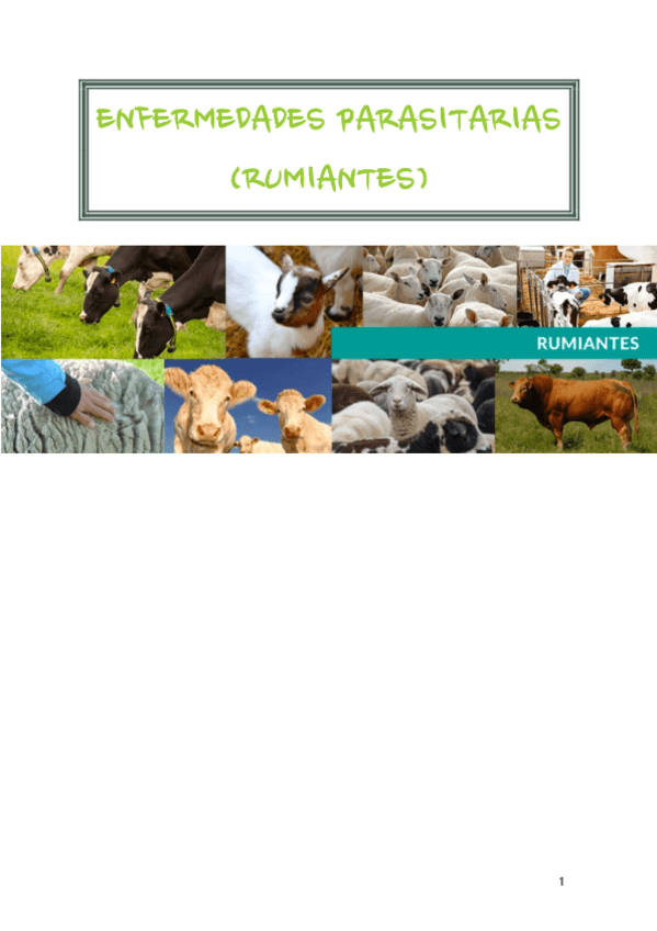 Miniatura del documento EP-RUMIANTES.pdf