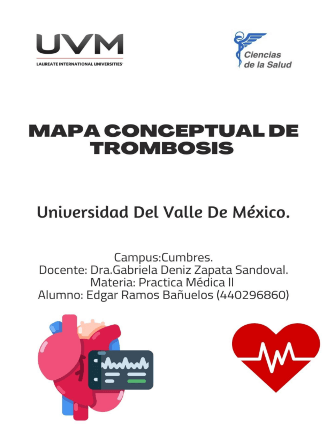 Miniatura del documento mapa-conceptual-de-trombosis.pdf