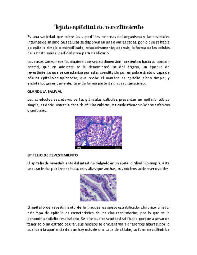 Miniatura del documento Tejido-epitelial-de-revestimiento.pdf