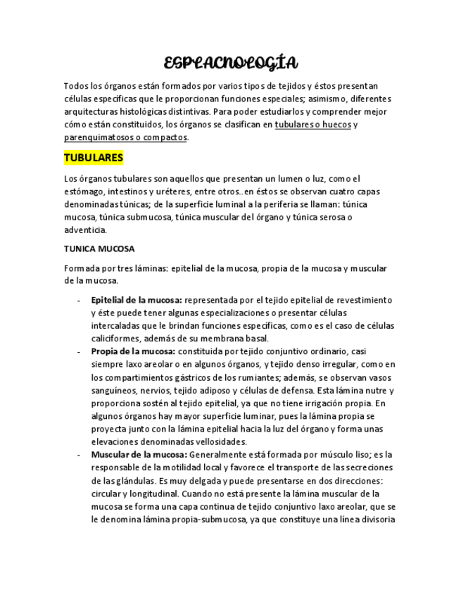 Miniatura del documento Esplacnologia.pdf