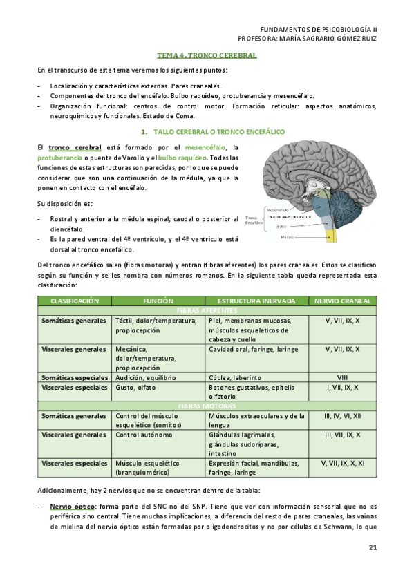 Miniatura del documento TEMA-4-PSICOBIOLOGIA-II.pdf
