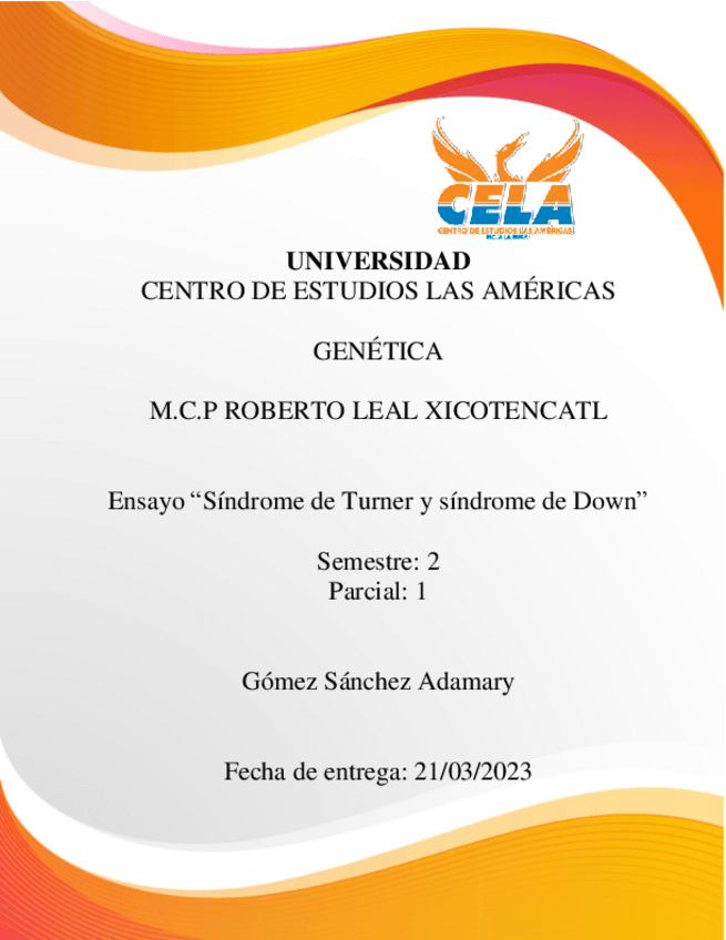 Miniatura del documento Ensayo-3-Sindrome-de-Turner-y-sindrome-de-Down.pdf