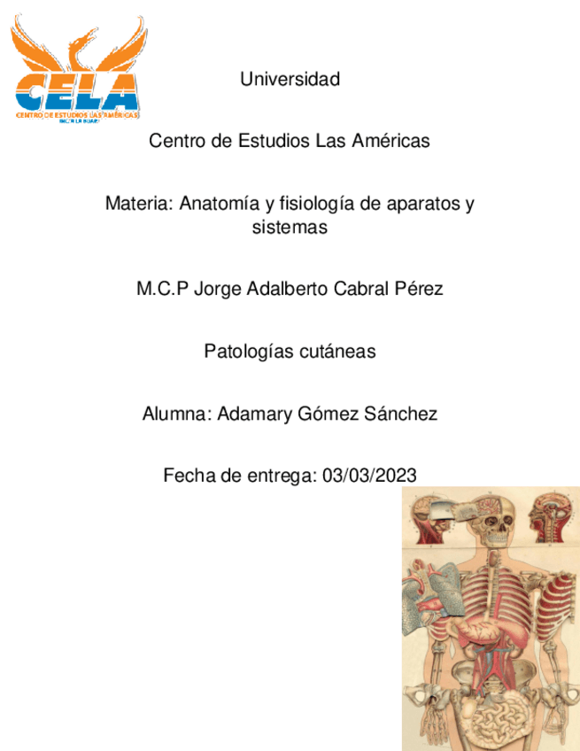 Miniatura del documento Tarea-4-Patologias-cutaneas.pdf