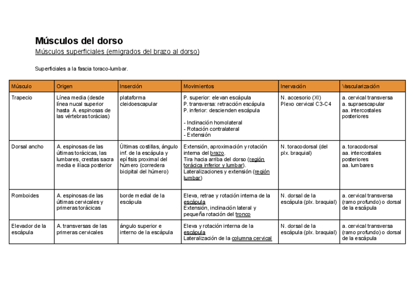 Miniatura del documento Musculos-del-tronco-TABLAS-PREPARACION-EXAMEN.pdf
