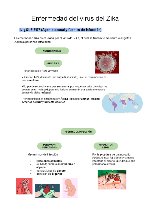 Miniatura del documento Enfermedad-del-virus-del-Zika.pdf