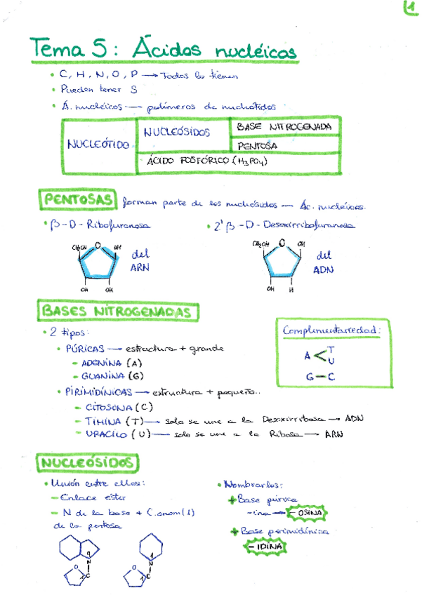 Miniatura del documento APUNTES-BIO-TEMA-5-ACNUCLEICOS.pdf