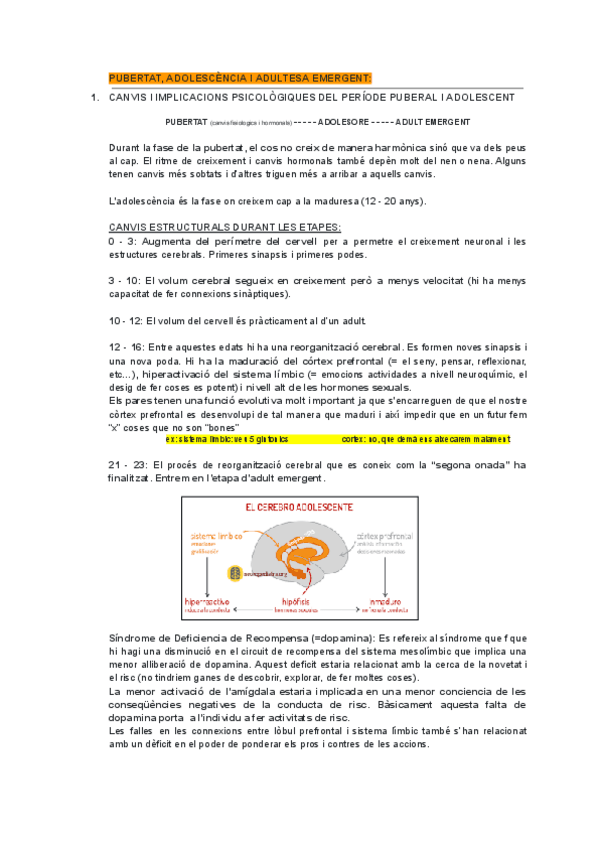 Miniatura del documento ADOLESCENTS-ADULTS-EMERGENTS-I-ADULTESA.pdf