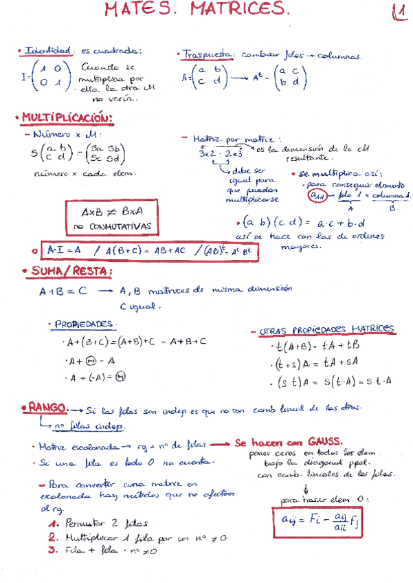 Miniatura del documento FORMULARIO-MATRICES.pdf