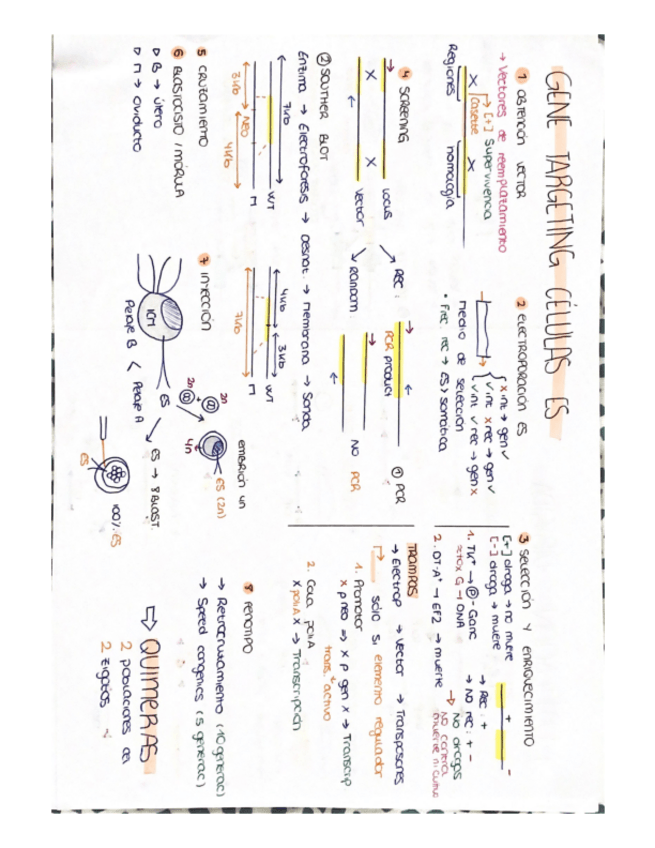 Miniatura del documento Esquemas-modgen.pdf